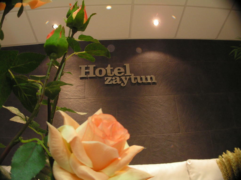 Hotel Zaytun Мекіненса Екстер'єр фото